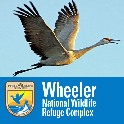 WNWR Crane in flight with the U.S. Fish and Wildlife Service Logo and the text Wheeler National Wildlife Refuge Complex